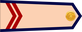Vietnam Navy Binh nhất insignia