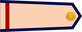Vietnam Navy Hạ sĩ insignia