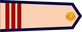 Vietnam Navy Thượng sĩ insignia