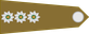 South Africa Army Captain insignia