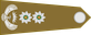 South Africa Army Colonel insignia