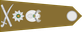 South Africa Army Brigadier general insignia
