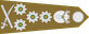 South Africa Army General insignia