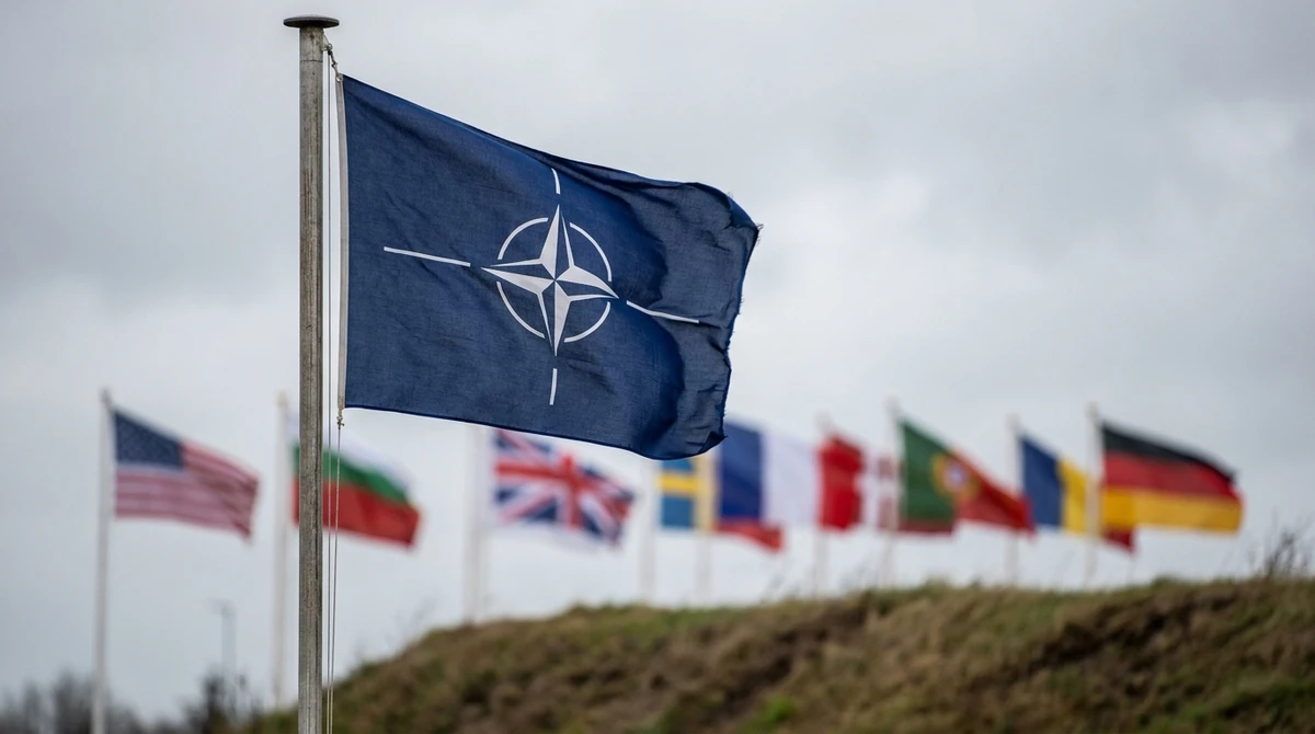 Illustration: NATO flag among allied national flags