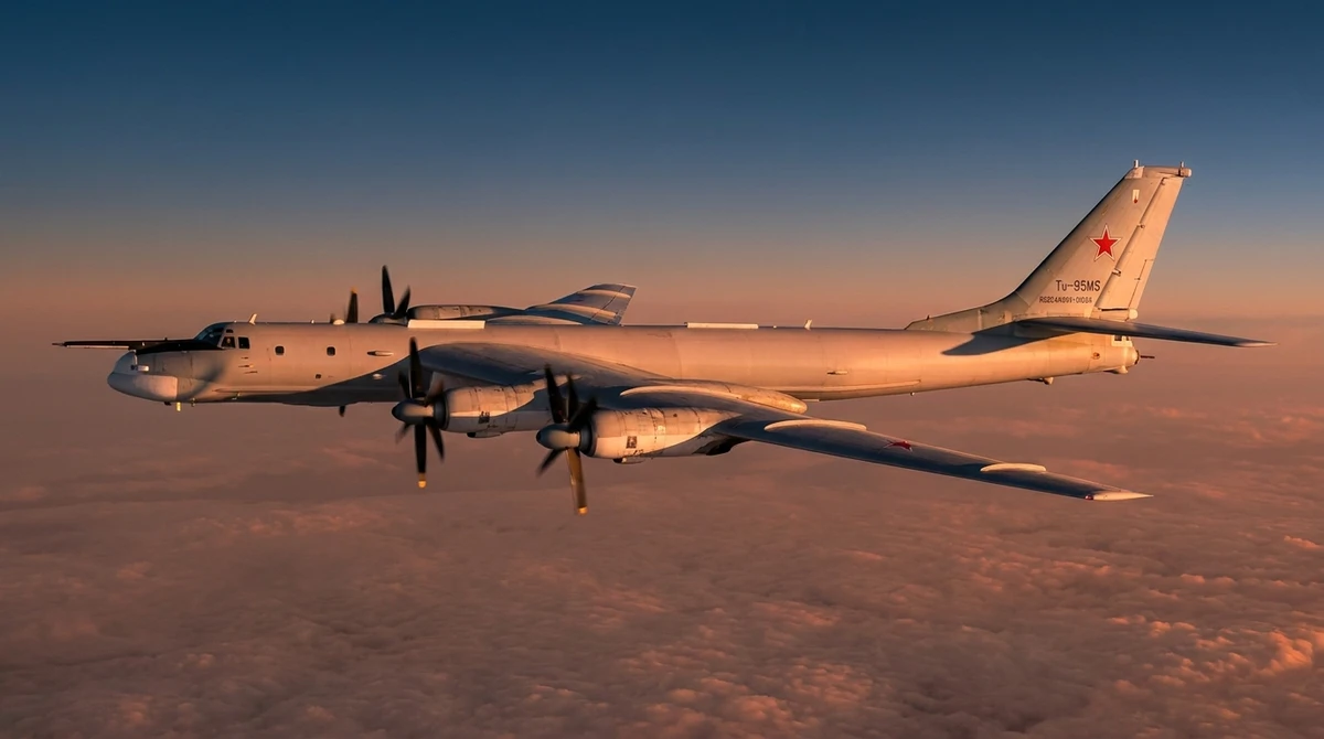 Illustration: Tu-95 strategic bomber in flight